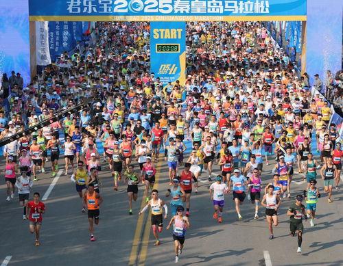 从哪里看每日大赛,实时追踪竞技盛宴