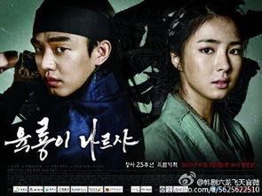 韩剧六龙飞天在线观看,宫廷权谋与家族恩怨的史诗巨制